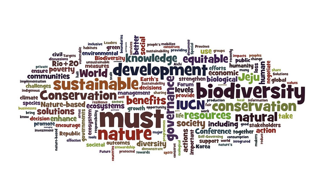 CSR word cloud CSR Reporting